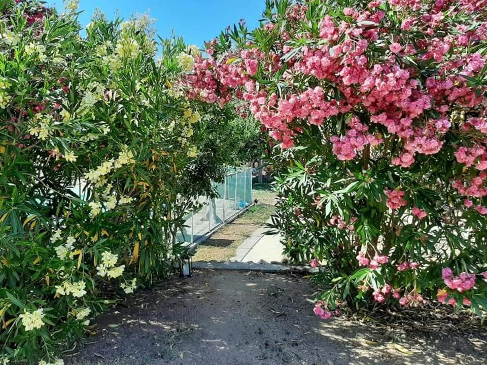 Orasi Sartene Gite Casa Fiurita Sartène Exterior foto
